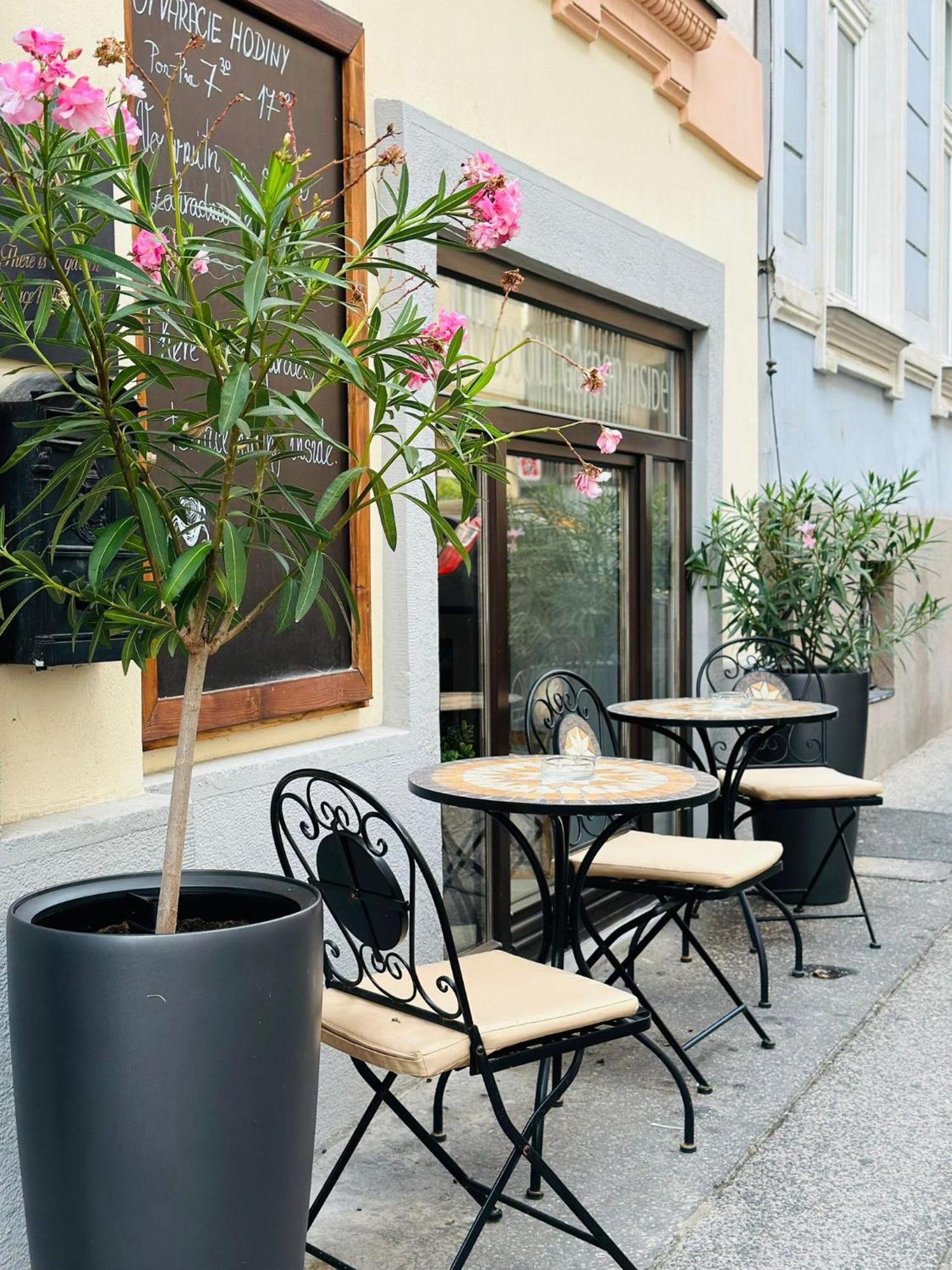 Downtown Bratislava B&B المظهر الخارجي الصورة